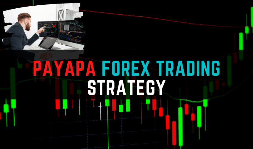 Payapa Forex strategy