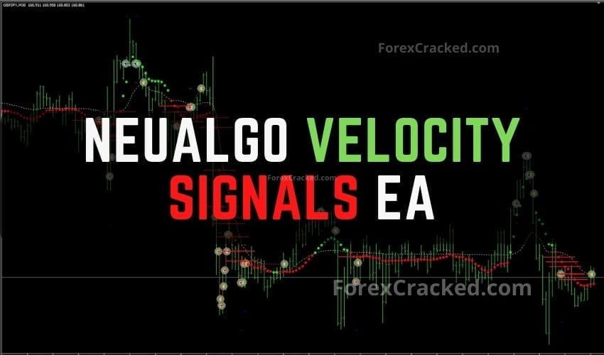 NeuAlgo Velocity Signals MT4 EA FREE Download ForexCracked.com