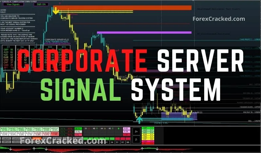 Corporate Server Indicator System MT4 FREE Download