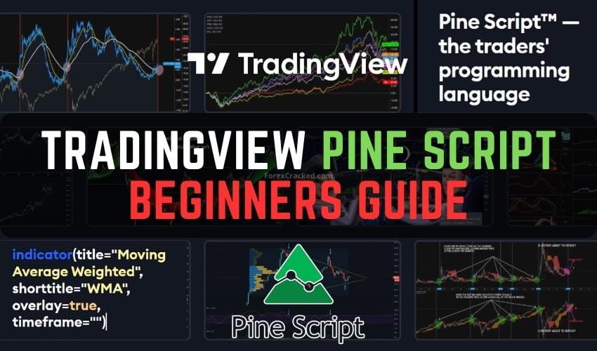 TradingView Pine Script: The All-in-One Guide for Beginners