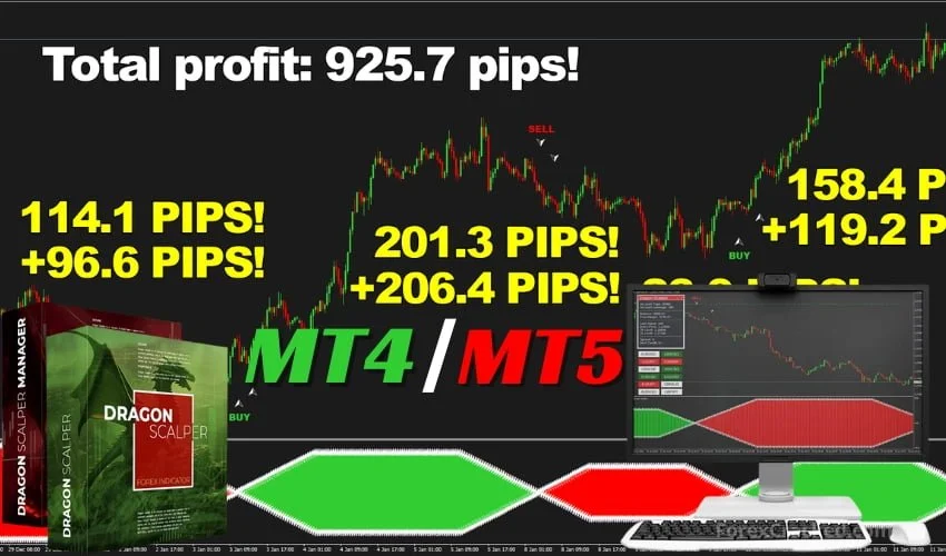 Dragon Scalper – Top Indicator of 2024 [Now for MT5]