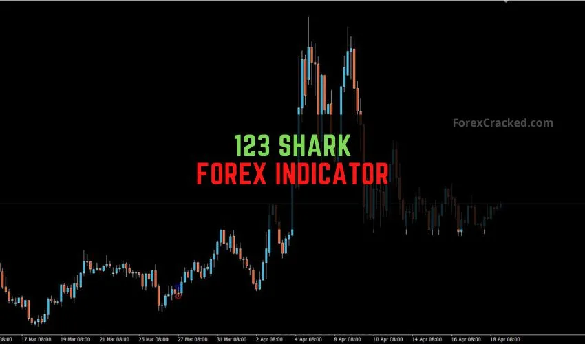 123 Shark Forex Indicator for MT4 �Candlestick-Based Signal Scanner That Works